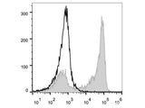 PerCP/Cyanine5.5 Anti-Mouse/Human CD11b Antibody[M1/70]