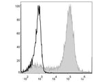 PE Anti-Mouse/Human CD11b Antibody[M1/70]