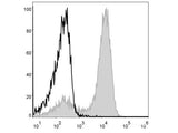 APC Anti-Mouse/Human CD11b Antibody[M1/70]