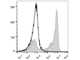 PerCP/Cyanine5.5 Anti-Mouse/Human CD11b Antibody[M1/70]