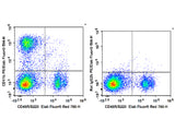 PE/Elab Fluor® 594 Anti-Mouse/Human CD11b Antibody[M1/70]