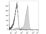 Elab Fluor® Violet 450 Anti-Mouse/Human CD11b Antibody[M1/70]