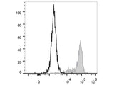 PE Anti-Human CD64 Antibody[10.1]