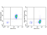 PE/Cyanine5 Anti-Human CD64 Antibody[10.1]