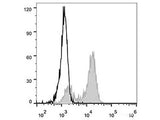 Elab Fluor® 488 Anti-Human CD64 Antibody[10.1]