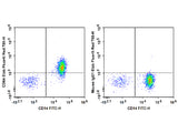 Elab Fluor® Red 780 Anti-Human CD64 Antibody[10.1]