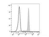 Elab Fluor® 488 Anti-Human CD33 Antibody[6C5]