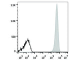 PE Anti-Human CD41 Antibody[HIP8]