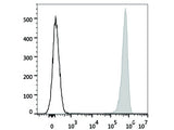 PE/Cyanine7 Anti-Human CD41 Antibody[HIP8]