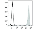 Elab Fluor® 647 Anti-Human CD41 Antibody[HIP8]