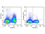 FITC Anti-Mouse CD73 Antibody[TY/23]