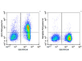 PE/Cyanine7 Anti-Mouse CD73 Antibody[TY/23]