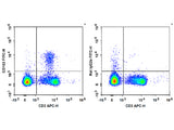 FITC Anti-Mouse CD103 Antibody[M290]