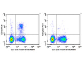 PE Anti-Mouse CD103 Antibody[M290]