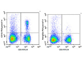 PE/Cyanine7 Anti-Mouse CD103 Antibody[M290]