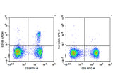 APC Anti-Mouse CD103 Antibody[M290]