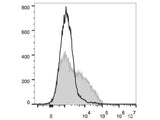 PE/Cyanine7 Anti-Mouse CD106 Antibody[M/K-2.7]