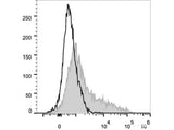 Elab Fluor® 488 Anti-Mouse CD106 Antibody[M/K-2.7]