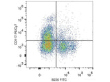 PE/Cyanine7 Anti-Mouse CD117/c-Kit Antibody[2B8]