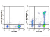 AF/LE Purified Anti-Mouse CD71 Antibody[R17 217.1.3/TIB-219]