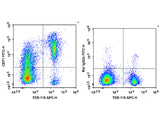 FITC Anti-Mouse CD71 Antibody[R17 217.1.3/TIB-219]