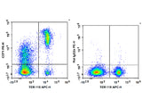 PE Anti-Mouse CD71 Antibody[R17 217.1.3/TIB-219]