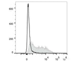 PE/Cyanine7 Anti-Mouse CD71 Antibody[R17 217.1.3/TIB-219]