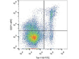 APC Anti-Mouse CD71 Antibody[R17 217.1.3/TIB-219]