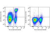 PE/Elab Fluor® 594 Anti-Mouse CD71 Antibody[R17 217.1.3/TIB-219]