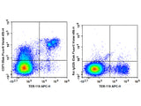 Elab Fluor® Violet 450 Anti-Mouse CD71 Antibody[R17 217.1.3/TIB-219]