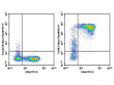 AF/LE Purified Anti-Mouse CD90.2/Thy1.2 Antibody[30H12]