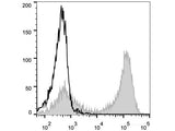 PE Anti-Mouse CD90.2/Thy1.2 Antibody[30H12]