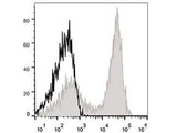 APC Anti-Mouse CD90.2/Thy1.2 Antibody[30H12]