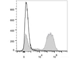 PE/Cyanine7 Anti-Mouse CD90.2/Thy1.2 Antibody[30H12]