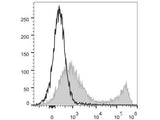 PerCP/Cyanine5.5 Anti-Mouse CD90.2/Thy1.2 Antibody[30H12]