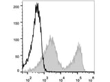 Elab Fluor® 488 Anti-Mouse CD90.2/Thy1.2 Antibody[30H12]