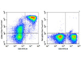 Elab Fluor® 647 Anti-Mouse CD90.2/Thy1.2 Antibody[30H12]