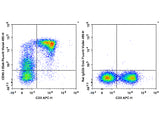 Elab Fluor® Violet 450 Anti-Mouse CD90.2/Thy1.2 Antibody[30H12]