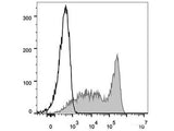 FITC Anti-Mouse CD90.2/Thy1.2 Antibody[30H12]