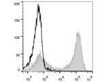 PE Anti-Mouse CD90.2/Thy1.2 Antibody[30H12]