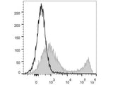 PerCP/Cyanine5.5 Anti-Mouse CD90.2/Thy1.2 Antibody[30H12]