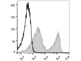 Elab Fluor® 488 Anti-Mouse CD90.2/Thy1.2 Antibody[30H12]