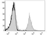 PE Anti-Mouse CD4 Antibody[GK1.5]