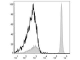 APC Anti-Mouse CD4 Antibody[GK1.5]