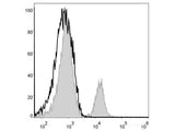 PE/Cyanine5 Anti-Mouse CD4 Antibody[GK1.5]