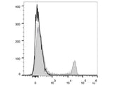 PE/Cyanine5.5 Anti-Mouse CD4 Antibody[GK1.5]