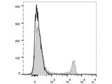 PE/Cyanine5.5 Anti-Mouse CD4 Antibody[GK1.5]