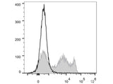 FITC Anti-Rat CD8a Antibody[OX-8]