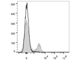 APC Anti-Rat CD8a Antibody[OX-8]