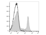 PE/Cyanine5.5 Anti-Rat CD8a Antibody[OX-8]